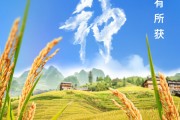东营芒种节气小知识来了 夏种作物都有什么？