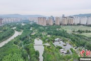 东营西宁市举办六五环境日主题宣传活动